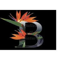 Association Carnaval Foyal